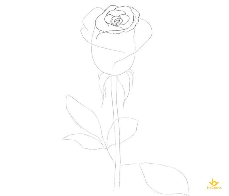 Hướng dẫn vẽ hoa hồng tặng ngày 2011  nc planvẽ nghệ thuật  YouTube