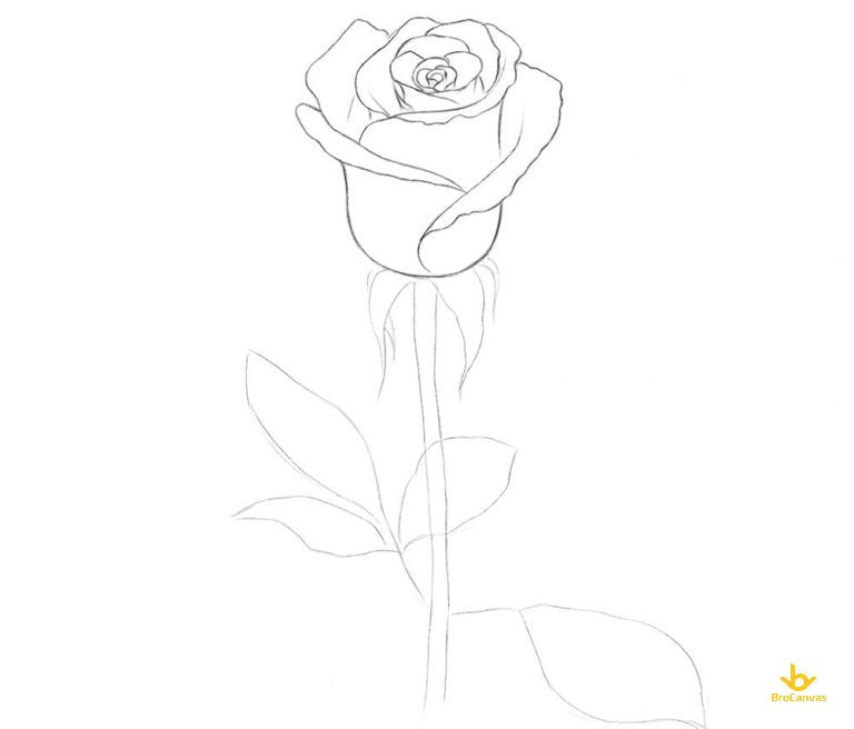 Hình ảnh hoa hồng vẽ bằng bút chì cực đẹp  Rose sketch Roses drawing  Flower drawing