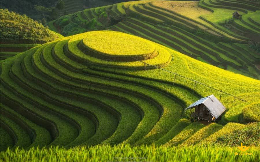 Hình ảnh Việt Nam tuyệt đẹp thân thuộc về quê hương làng quê  VFOVN