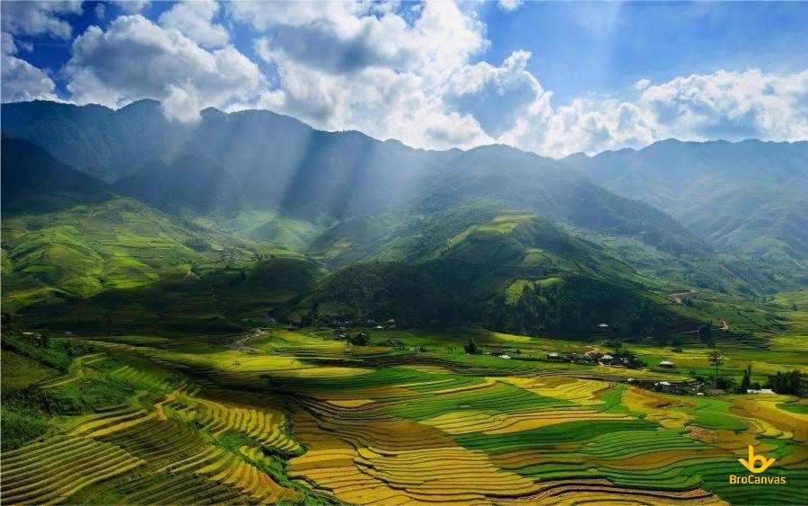 Những bức tranh vẽ phong cảnh quê hương Việt Nam đẹp nhất