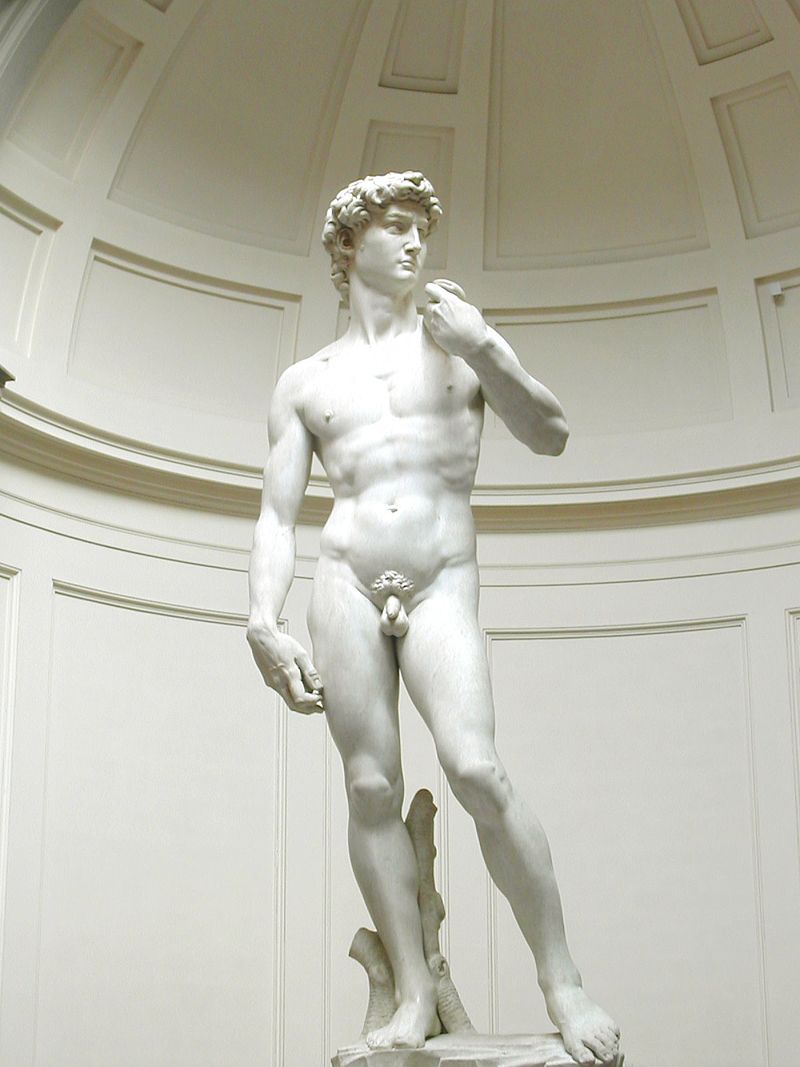Tượng David, được Michelangelo hoàn thành năm 1504, là một trong các tác phẩm nổi tiếng nhất thời kỳ Phục hưng
